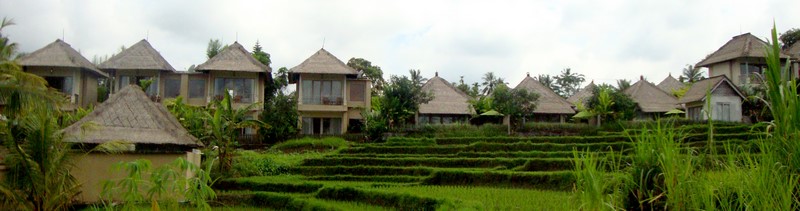 gallery19